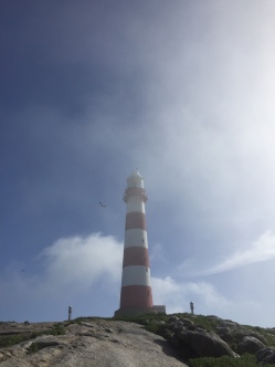 Island Lighthouse - 15 April 1893